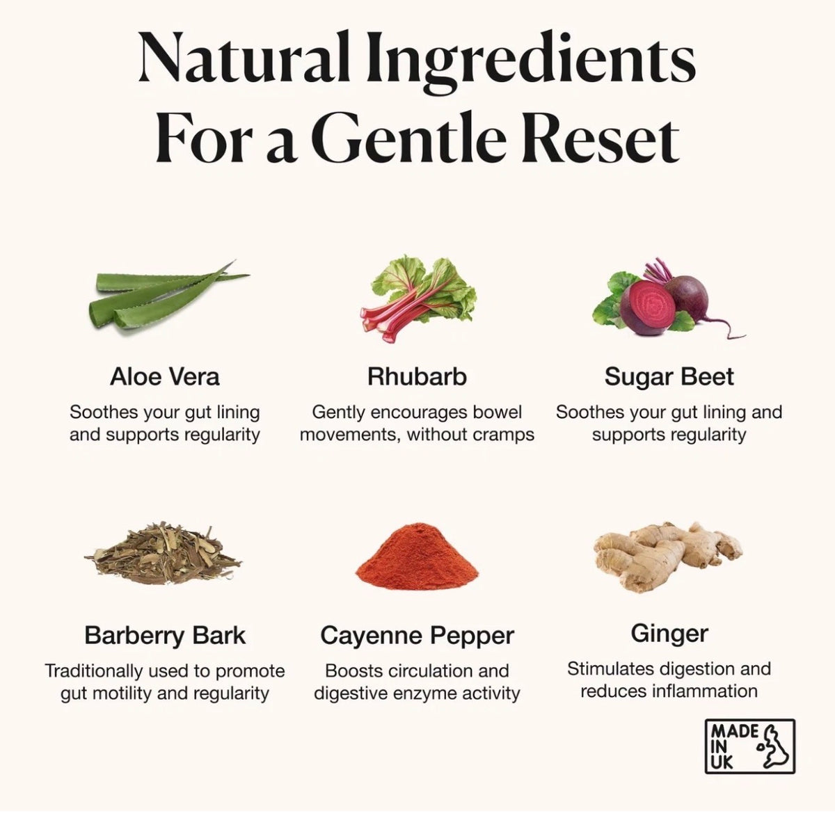 WildGut Colon Reset Herbal Supplement – 60 Capsules | Made in the UK | Natural Ingredients